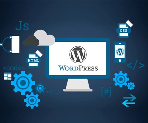 wordpress wordpress Development